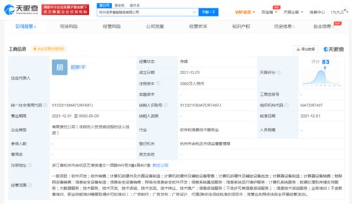 阿里新設智能服務公司，拓展大數據與信息技術咨詢業務